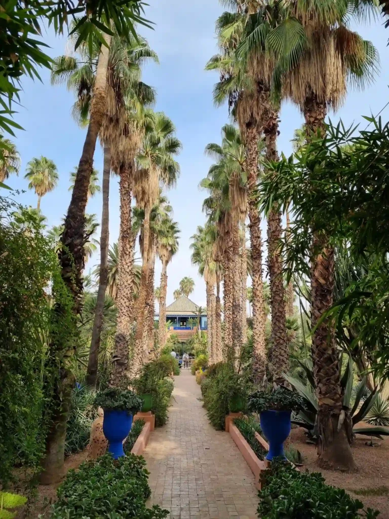 Jardin majorelle plants in marrakech